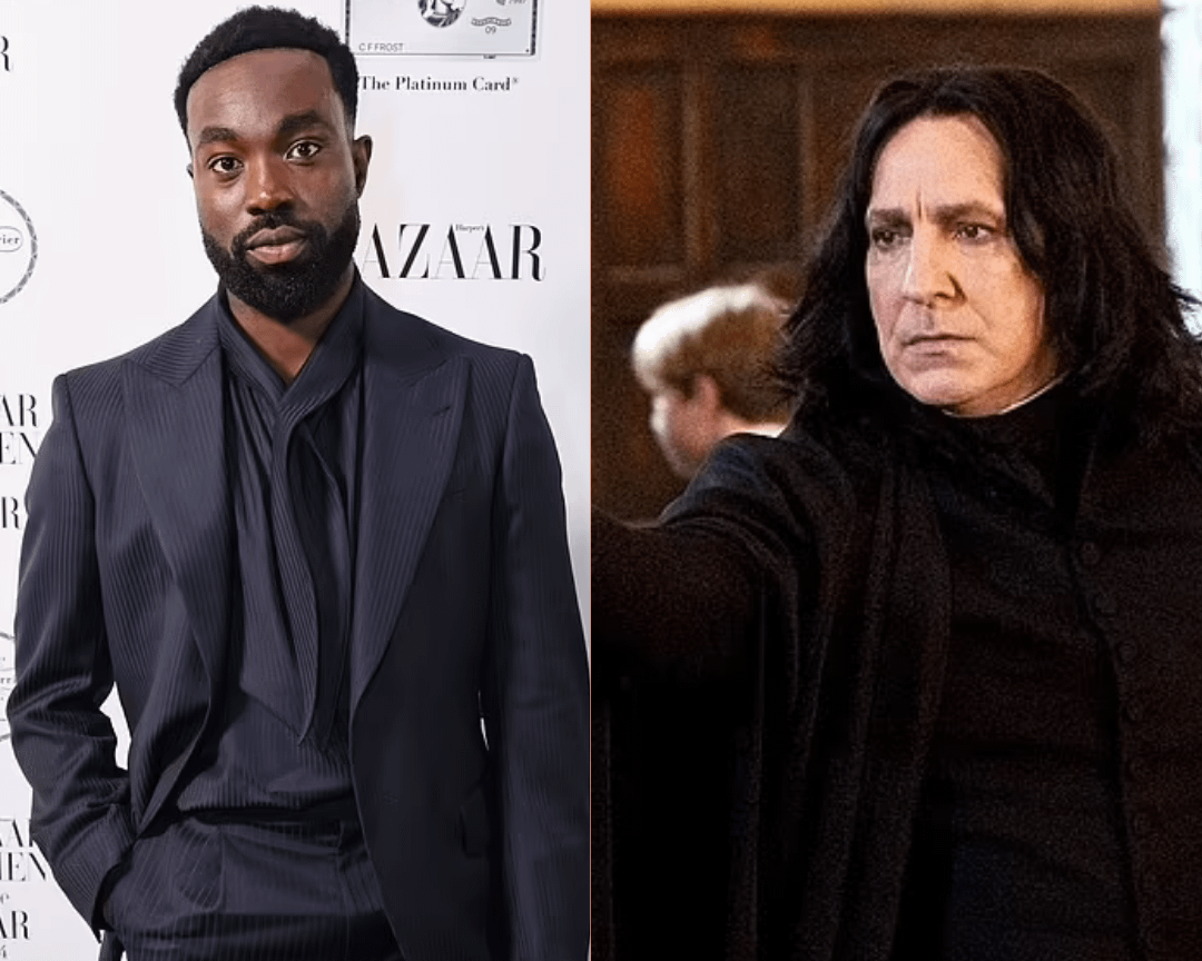 Os fãs de Harry Potter criticaram o boato de escalação de um personagem icônico na próxima série da HBO depois que o ator britânico Paapa Essiedu, 34, teria sido "oferecido para interpretar Severus Snape"; visto em novembro em Londres